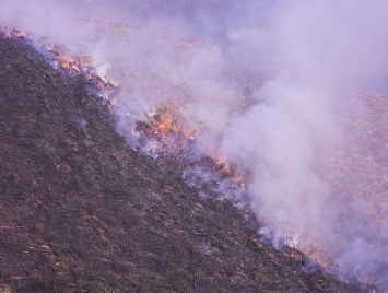 Los incendios provocados ponen en peligro la biodiversidad de la Montaña Pasiega y Oriental