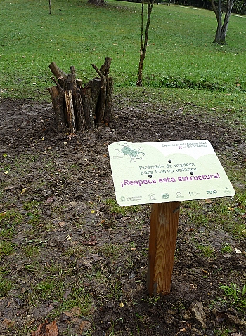  Creadas dos pirámides de madera para favorecer la instalación de la fauna