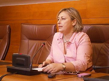 El PSOE pide al Gobierno que retire el concurso que “consolida la privatización” a la atención a víctimas de violencia de género