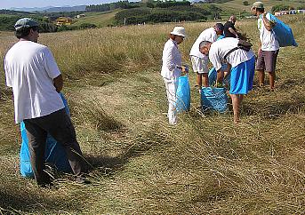 Segundas jornadas de voluntariado para la restauración dunar de la Playa de Merón en San Vicente la Barquera