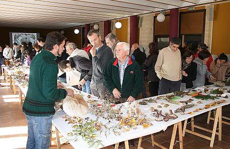 Gran éxito de las X Jornadas Micológicas Vallucas