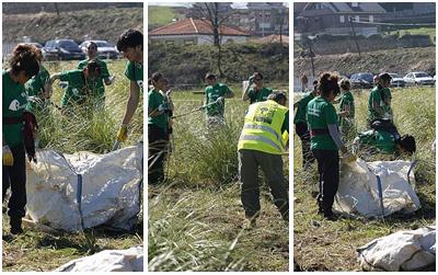 Voluntarios del Plan PROVOCA eliminan plumeros en Hinojedo