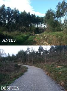 El PSOE de Reocín denuncia que el Ayuntamiento arregló un camino que da acceso a una finca propiedad del alcalde