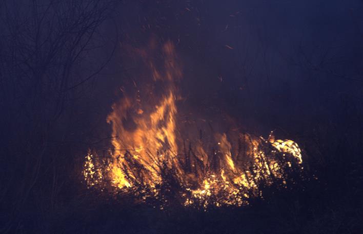  La lluvia ayuda a terminar con los incendios