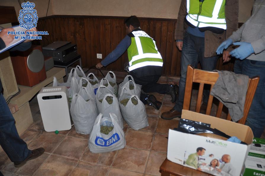 La Policía Nacional desmantela una plantación de marihuana en Castro Urdiales