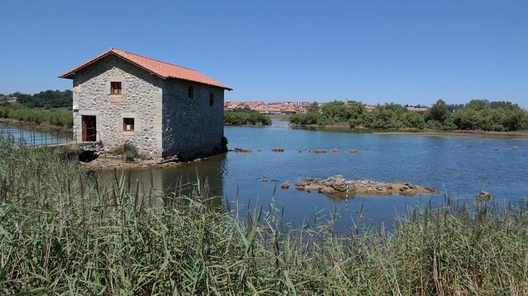  El Molino de las Aves acoge un curso para conocer y conservar las aves acuáticas del Parque Natural de las Marismas de Santoña, Victoria y Joyel