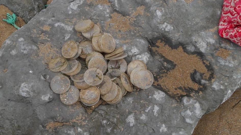 Centinelas Cantabria denuncia la aparición de cientos de tapas de plástico en la costa cántabra