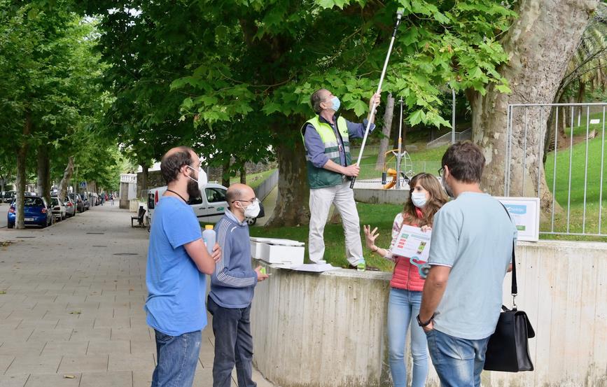  Santander inicia una campaña para combatir plagas en el arbolado urbano con una suelta de insectos controlada