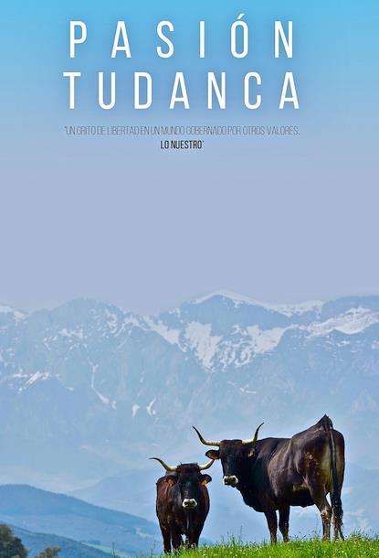  El documental cántabro ‘Pasión Tudanca’ llega a Movistar +