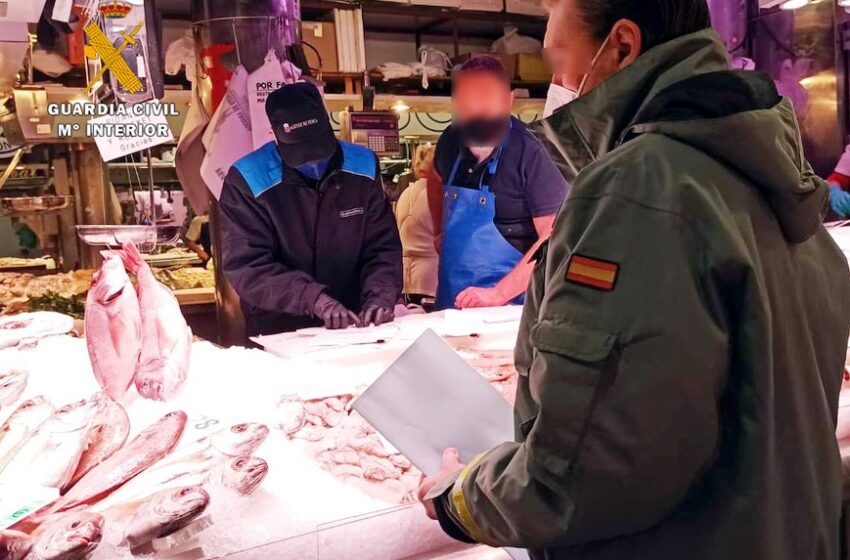 En marcha la campaña de control de la venta de pescado y marisco en época navideña