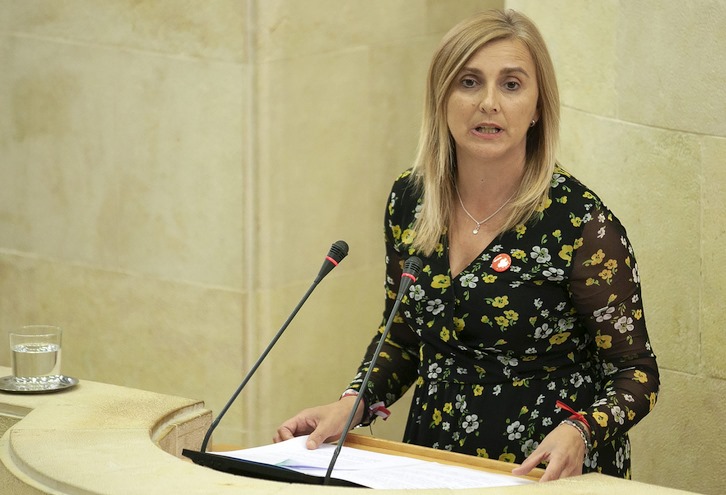  El PSOE defenderá en el Parlamento retirar de forma “inmediata” las concertinas del Puerto de Santander