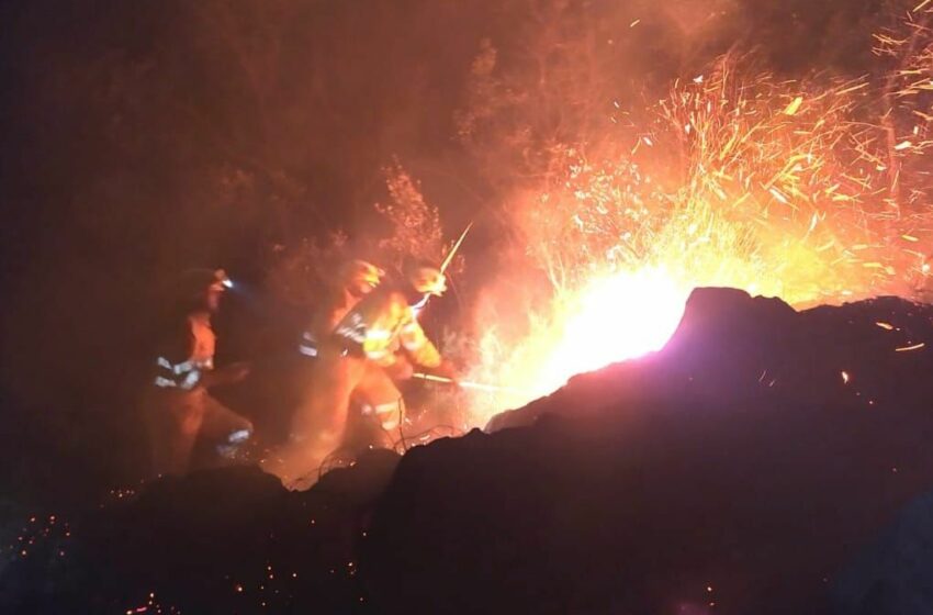  Provocados otros diez incendios más en diferentes puntos de Cantabria