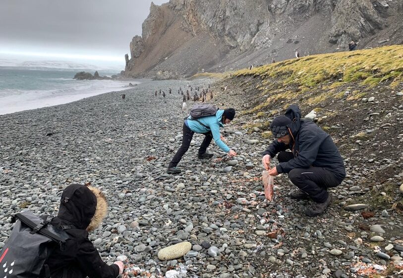 Gema Ruiz y Javier Viguri realizan trabajo de campo en la Base Antártica Juan Carlos I