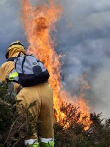 En las imágenes el incendio en Cabuérniga, 11 de abril de 2022, foto Gobierno de Cantabria