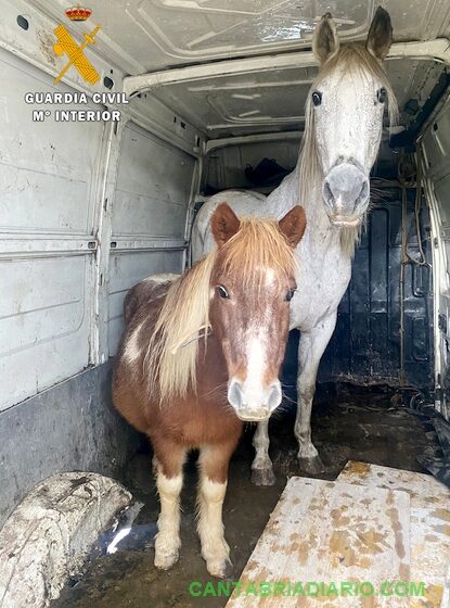 La Guardia Civil detiene a dos hombres por el robo de caballos en Piélagos