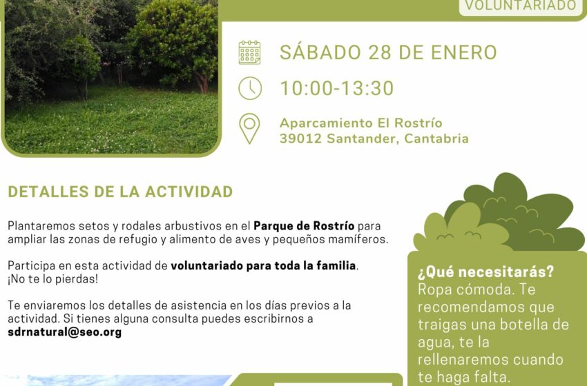  ‘Santander Capital Natural’ da inicio a sus actividades de voluntariado ciudadano con una plantación en el Parque de Rostrío