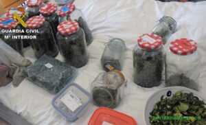 Desmantelada en Murcia una casa de retiros espirituales donde se practicaban rituales con drogas y animales