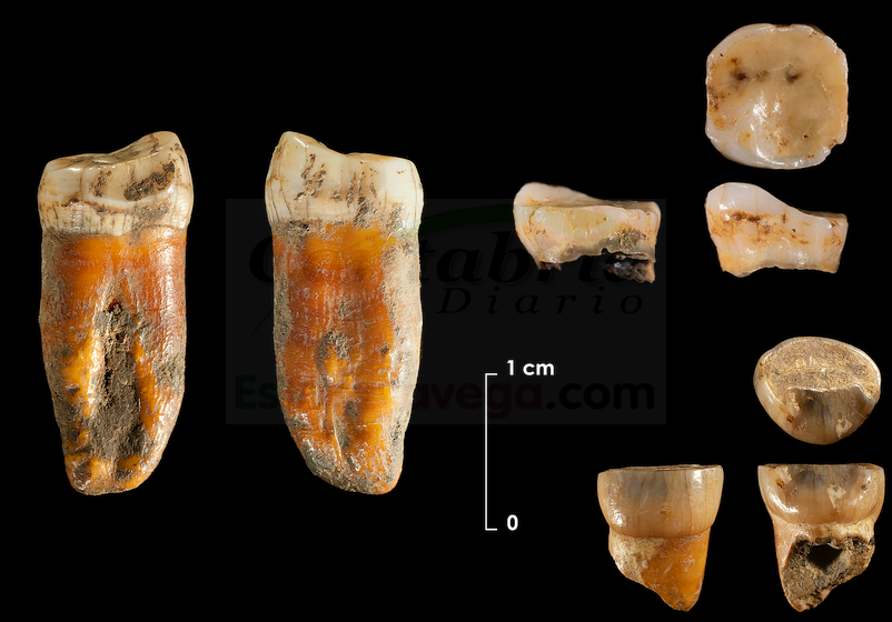 Investigadores de la UC descubren restos neandertales de hace 100.000 años en el yacimiento de Axlor