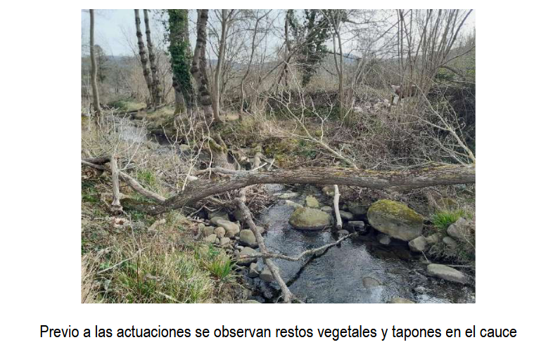 La Confederación Hidrográfica del Cantábrico actúa en la conservación del río Besaya