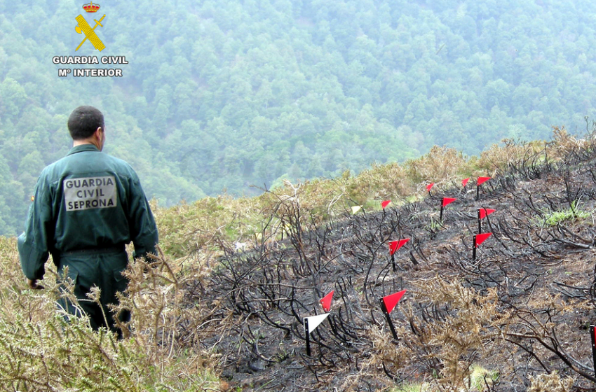  La Guardia Civil investiga al presunto autor de un incendio forestal en San Miguel de Aras