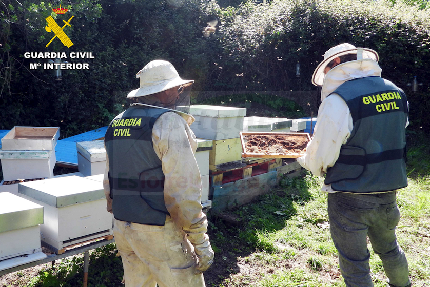 La Guardia Civil localiza a los presuntos autores del hurto de trece colmenas de abejas