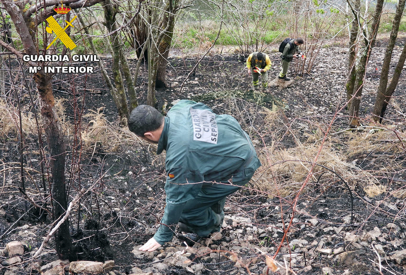  Detenido el presunto autor de un incendio forestal que afectó a 200 hectáreas de monte en Vega de Pas