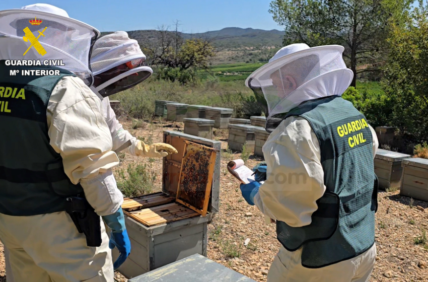  Investigadas once personas por comercializar más de cuarenta toneladas de miel ecológica contaminada con pesticidas procedentes de China