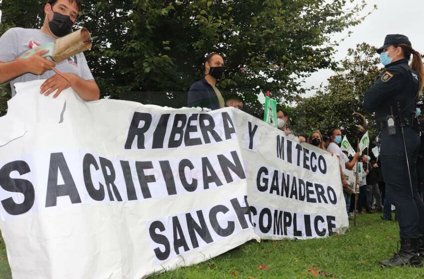 UGAM-COAG tacha de "despropósito" la protección del lobo hasta 2031 - En la foto de archivo un grupo de ganaderos protesta durante una visita de Pedro Sánchez a Santander (C) Foto: David Laguillo/CANTABRIA DIARIO