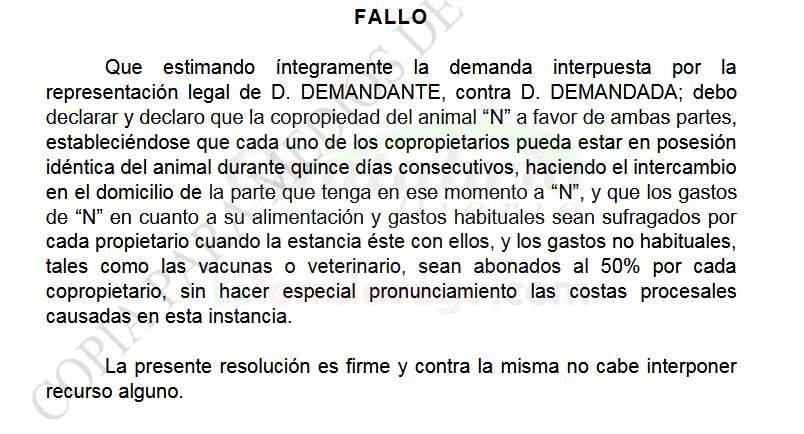 Un hombre y su expareja tendrán la copropiedad y la custodia compartida de un perro pastor belga