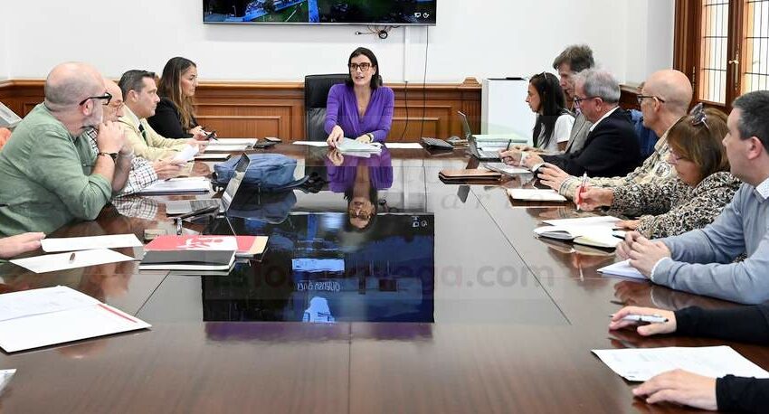 Santander avanza en el Plan Estratégico de Mayores con el análisis de las aportaciones recibidas por el sector